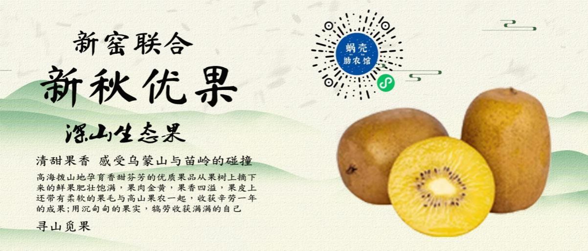 91精产品视频在线观看