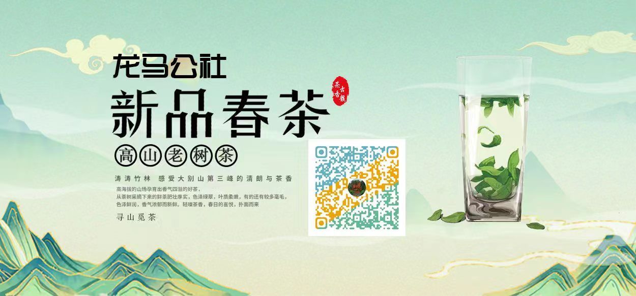91精产品视频在线观看
