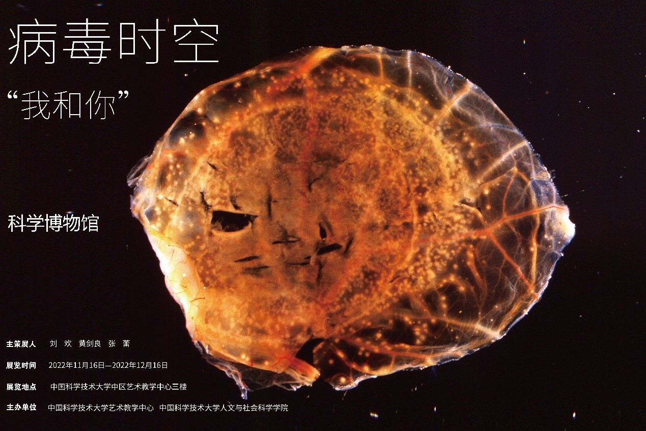91精产品视频在线观看